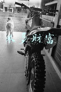 米多财富
