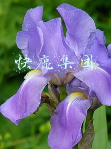 快鹿集团2019兑付(突发！400亿超级大案、4万人"血本无归"，快鹿系创始人在美国被抓)