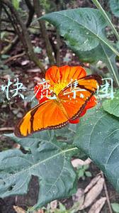 快鹿集团