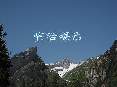 啊哈娱乐