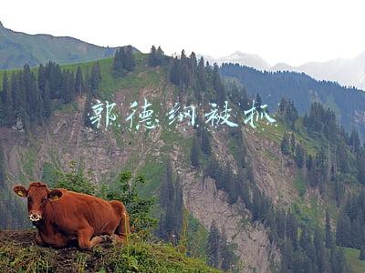 郭德纲怎么被抓了(郭德纲晒大餐辟谣被抓 字里行间调侃意味十足)