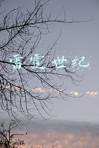雷霆世纪