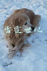雷霆世纪