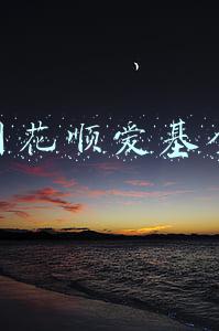 同花顺爱基金是正规平台吗(互联网基金违规销售乱象：巧立名目送红包、送份额)