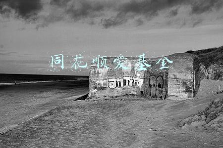 同花顺爱基金