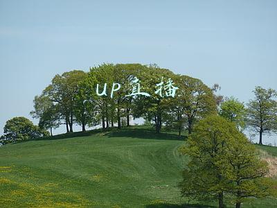 up直播