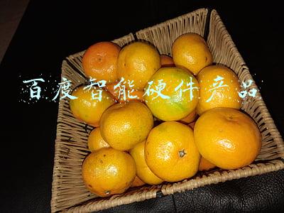 百度智能硬件产品