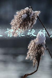百度智能硬件产品