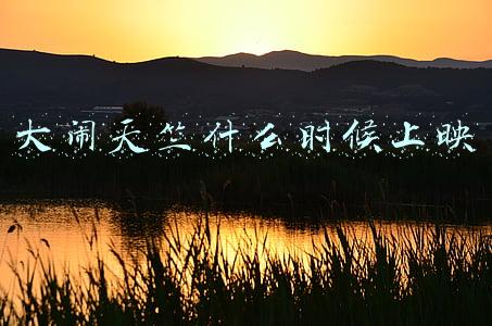 大闹天竺什么时候上映