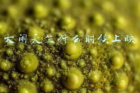 大闹天竺什么时候上映