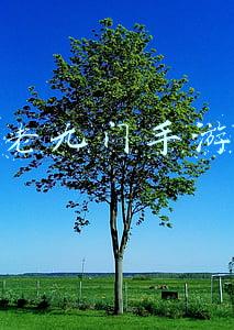 老九门手游
