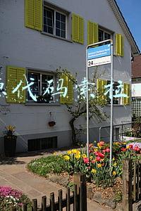 源代码索拉卡