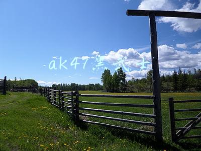 ak47黑武士