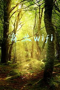 商业wifi覆盖项目怎么赚钱(共享WiFi项目的收益讲解)