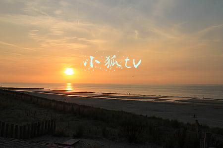 小狐tv