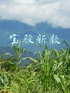 宝骏新款