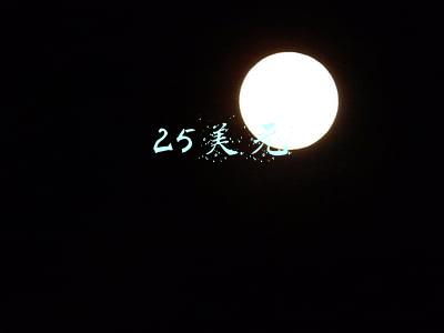25美元