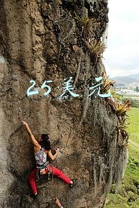 25美元