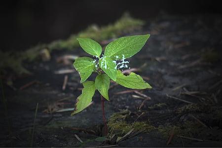 消法
