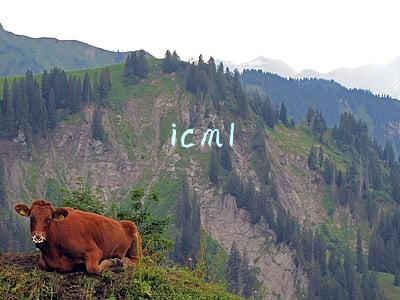 icml