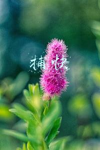 捕快