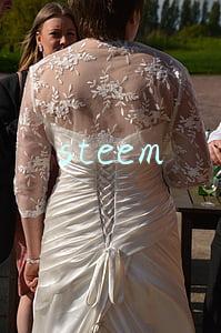 steem