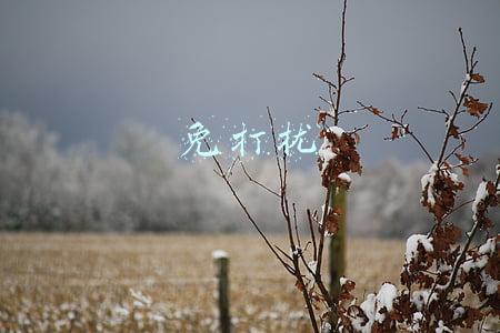 免打扰