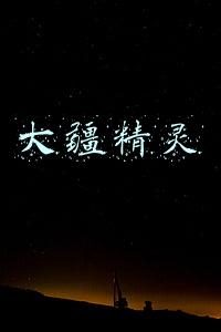 大疆精灵