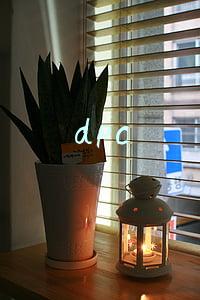 dpc