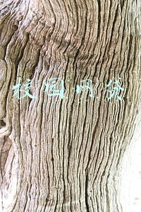 校园网贷