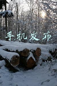 手机发布会时间表2022(华为手机 2022年06月21日新消息)