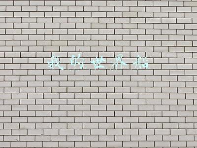 我的世界船