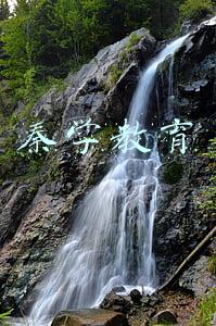 秦学教育