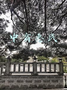 中商惠民