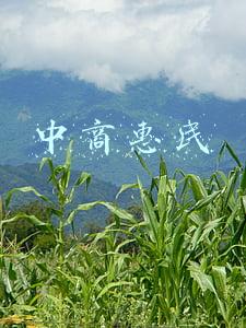 中商惠民是国企吗(张一春委员：清算政府、央企、国企等对民营企业的欠账)