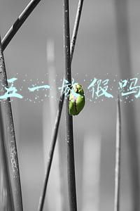 五一放假吗