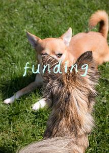 funding