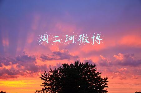 周二珂微博