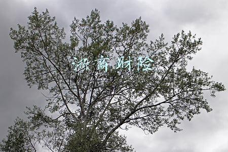 浙商财险的车险口碑怎么样(罚款11万！浙商财险山东分公司违规使用未备案保险费率)