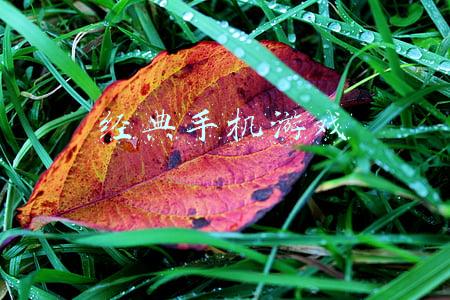 经典手机游戏