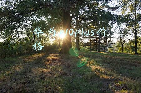 华为p10plus价格