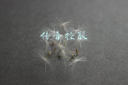 传音控股