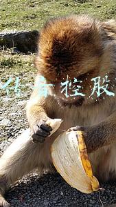 传音控股