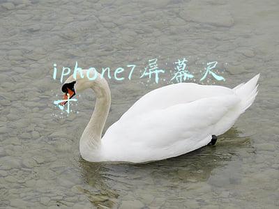 iphone7屏幕尺寸