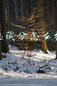lol隐藏分怎么提高