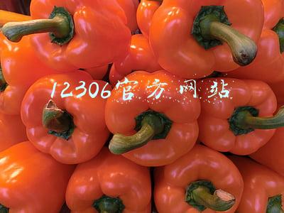 12306官方网站