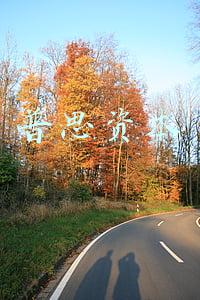 普思资本