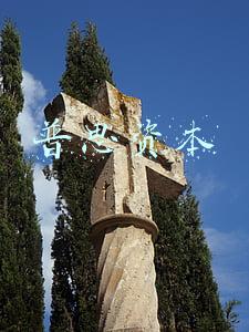 普思资本投资了哪些公司(王思聪旗下普思资本现身 本周12家创业板注册制首发企业悉数过会)