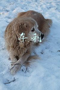 牟利