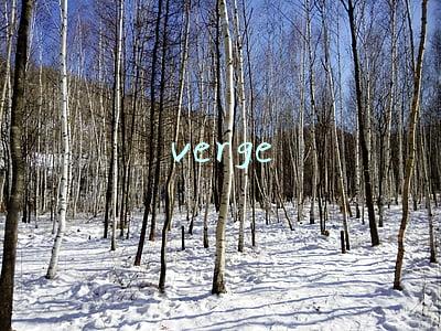 verge
